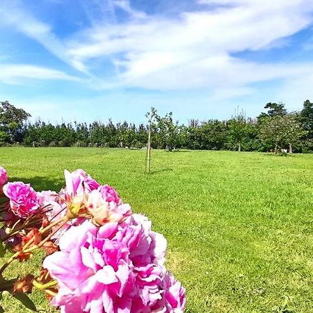 Apartamento Rural Playa Foz - Vistas Al Mar מראה חיצוני תמונה